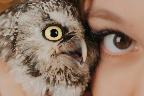 파라다이스 카지노 지원